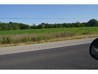 Property photo 6 - 64 Acre Farm Offered in 4 Tracts or in Combinations - Real Estate Auction